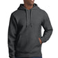Sport-Tek ®  Super Heavyweight Pullover Hooded Sweatshirt.  F281