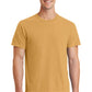Port & Co ™  Beach Wash ®  Garment-Dyed Tee. PC099