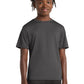 Port & Co ™  Youth Performance Tee. PC380Y