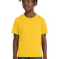 Port & Co ™  Youth Essential Tee. PC61Y