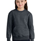 Port & Co ™  Youth Core Fleece Crewneck Pocket Sweatshirt PC78YPKT