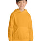 Port & Co  53;  Youth Core Fleece Pullover Hooded Sweatshirt.  PC90YH