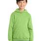 Port & Co  53;  Youth Core Fleece Pullover Hooded Sweatshirt.  PC90YH
