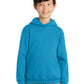 Port & Co  53;  Youth Core Fleece Pullover Hooded Sweatshirt.  PC90YH