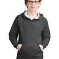Sport-Tek ®  Youth Drive Fleece Pullover Hoodie YSTF200
