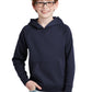 Sport-Tek ®  Youth Drive Fleece Pullover Hoodie YSTF200